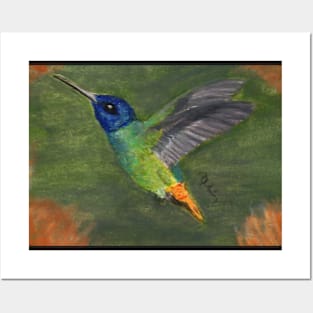 Hummingbird Posters and Art